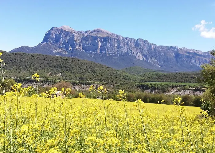 El Fenal De Turmo El Capricho De Nieves Apartamento