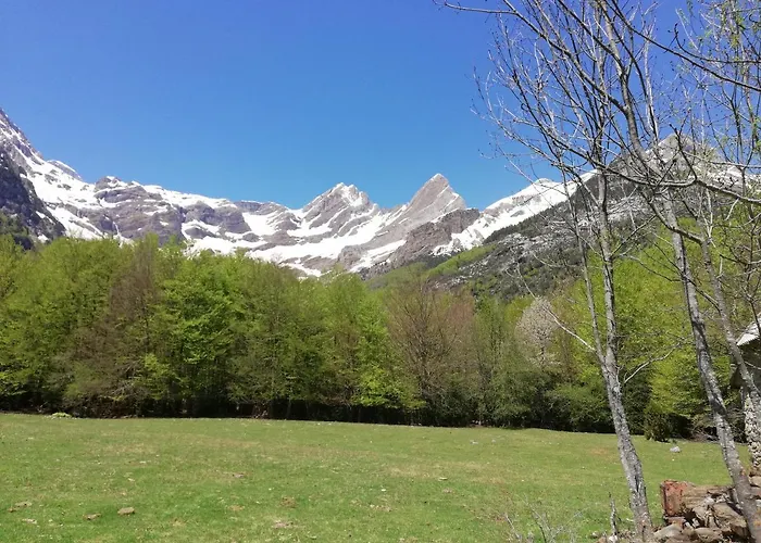 El Fenal De Turmo El Capricho De Nieves *