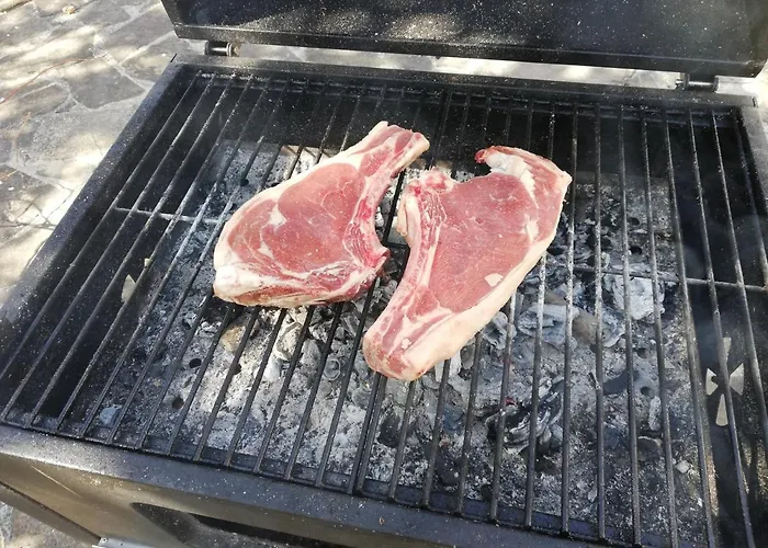 El Fenal De Turmo El Capricho De Nieves